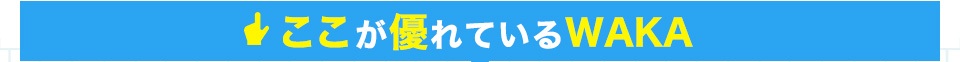 ここが優れているWAKA