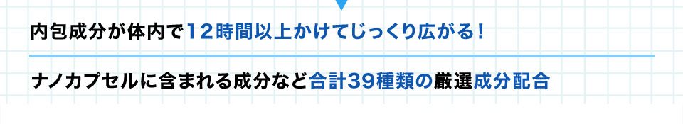 ・内包成分が体内で12時間以上かけてじっくり広がる！・ナノカプセルに含まれる成分など合計39種類の厳選成分配合